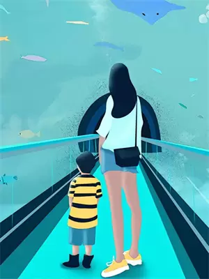 泰拉是什么品牌
