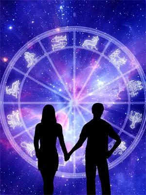 妻子双十一买了23万